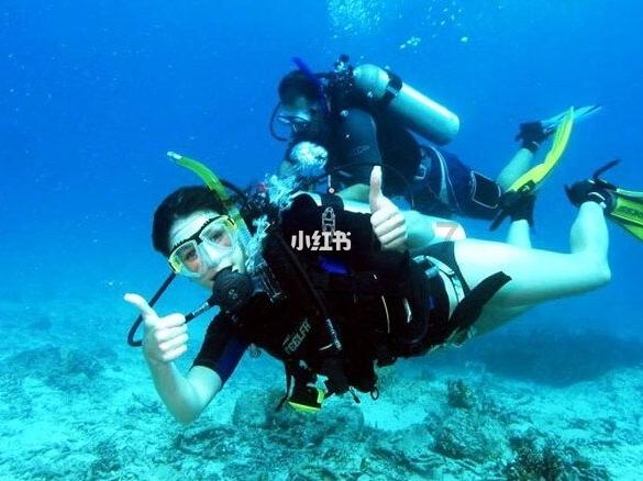 探索知识星球平台——女朋友问我有什么爱好怎么回答?尽在其中